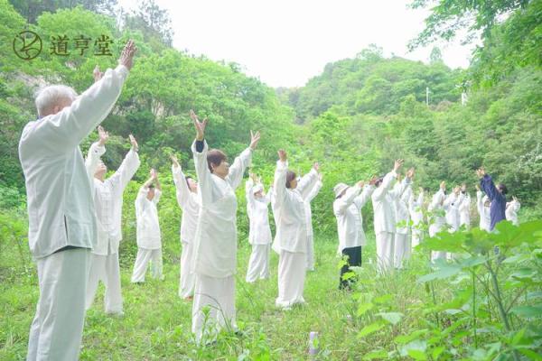 深入探索太极养生：身心合一的健康之道