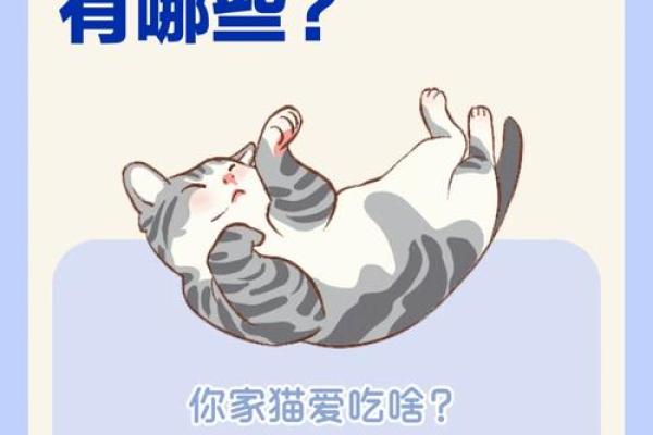 揭秘猫咪最爱的美味食物及其营养价值