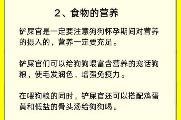 如何准确判断狗狗是否怀孕的实用方法