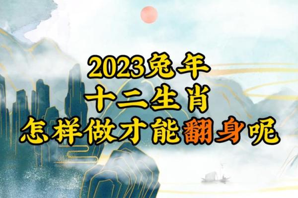 2023年属什么生肖？探究兔年的象征与性格特点