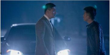 国产电影坏猫在线观看