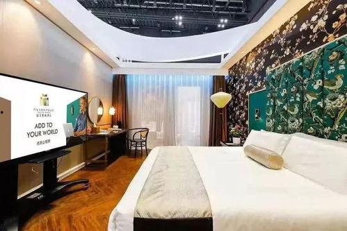 国产90酒店在线观看,在线观看，揭秘神秘酒店背后的故事