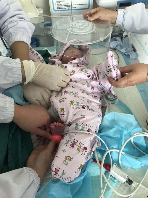 国产挤奶喂奶在线观看,在线观看见证奶业发展新篇章