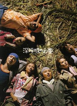 精品妖婆国产在线观看,在线观看背后的奇幻世界